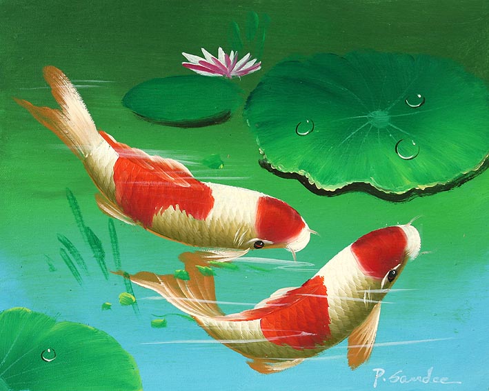 Koi Carps