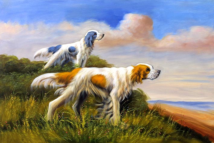 Irish Setters