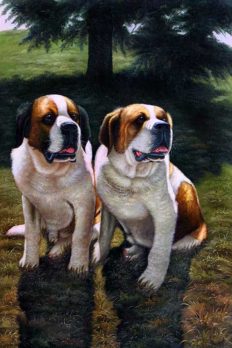 Bernard Buddies