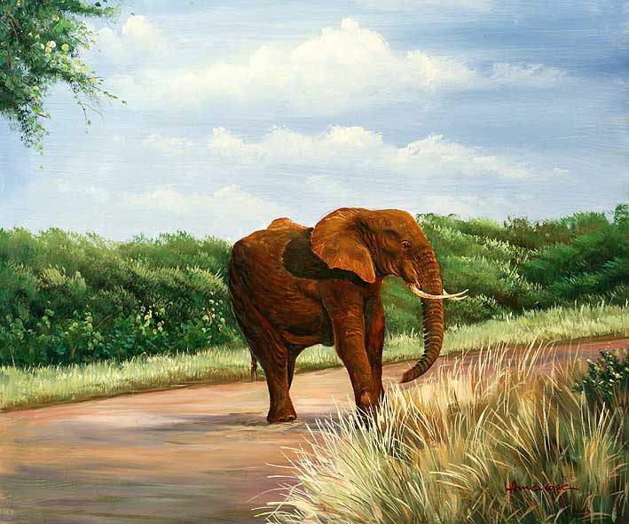 Elephant Walking On A Sand Bank