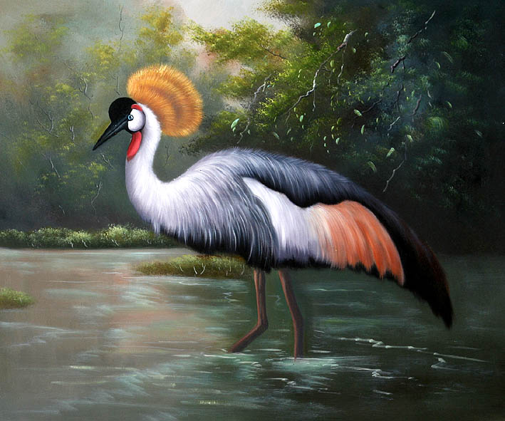 Grey Crowned Crane