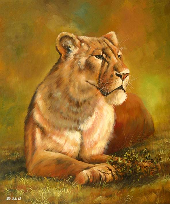 Lioness Portrait