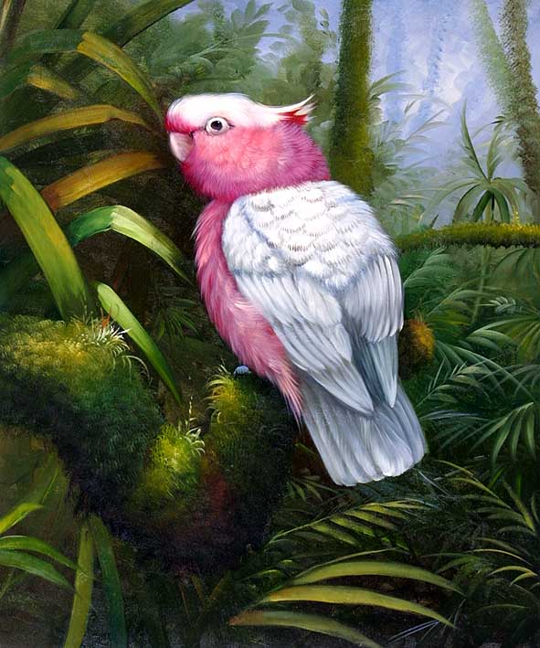The Pink Parrot