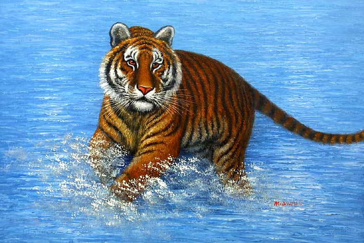 Tiger Having Fun In The Water