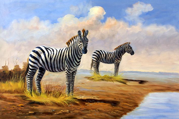 Zebras at Watering Place