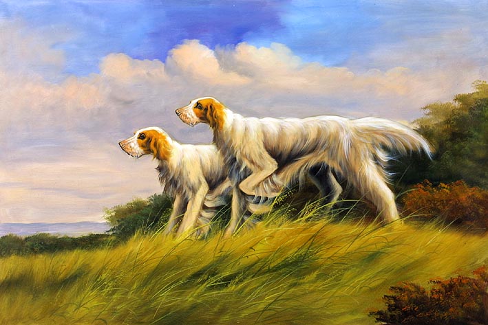 Irish Setters