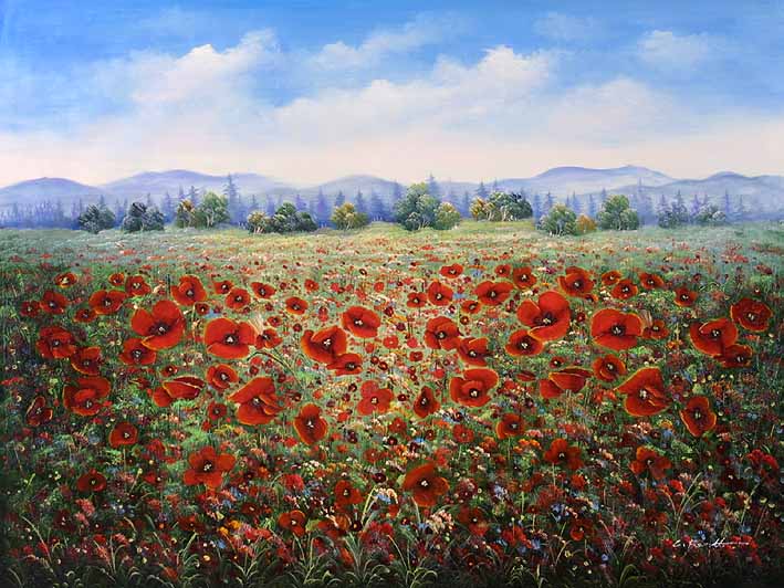 Field of Poppies