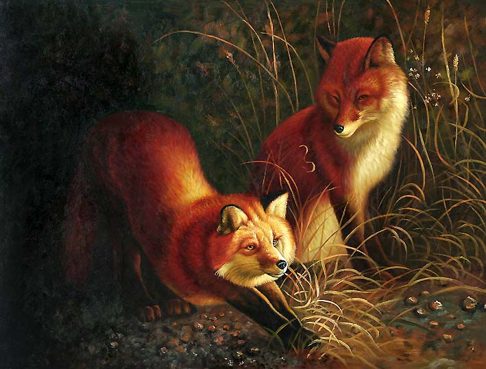 Rural Foxes