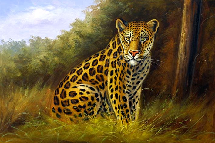 Sitting Leopard