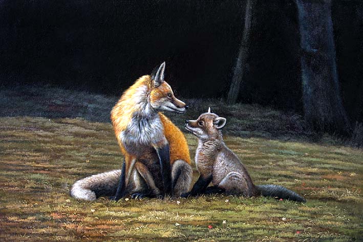 Vixen and Cub