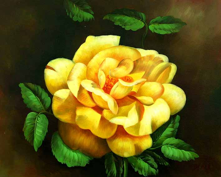 Yellow Rose