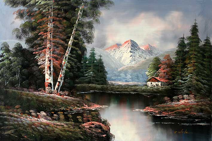 The Mountain View