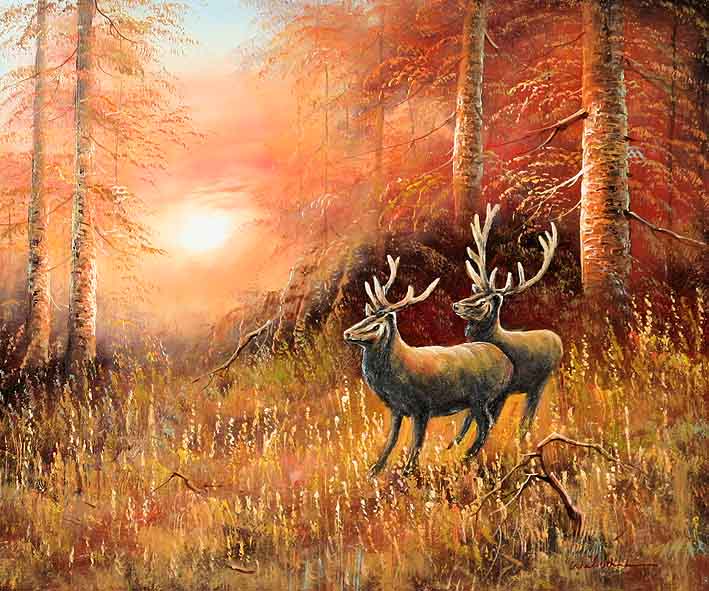 Deer Couple in Woods