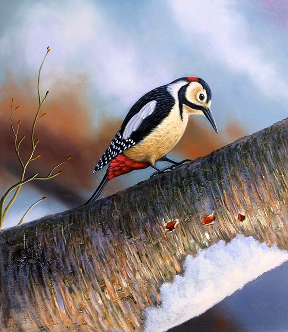 Hammering Woodpecker