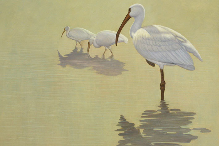 Searching Cranes