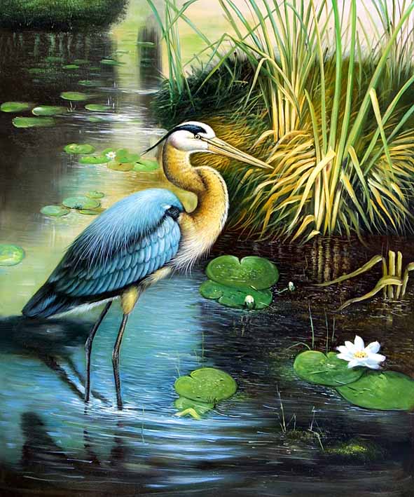 Tricoloured Heron