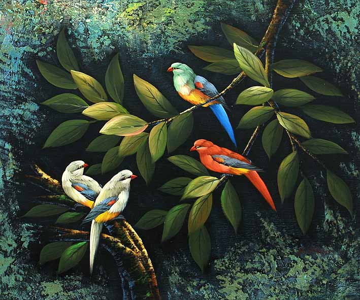 Small Tropical Birds