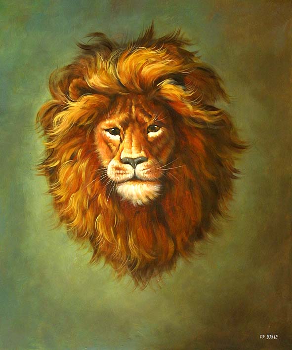 Lion Portrait