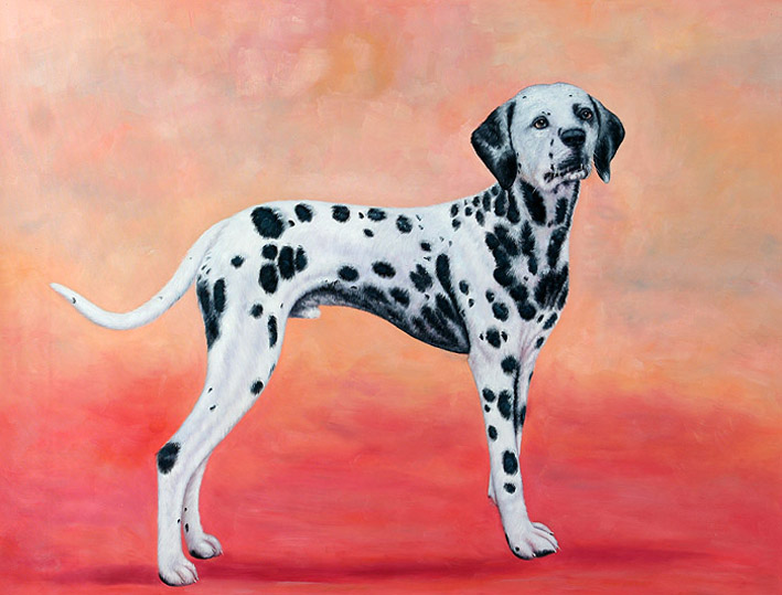 A Dalmatian Doggie, II