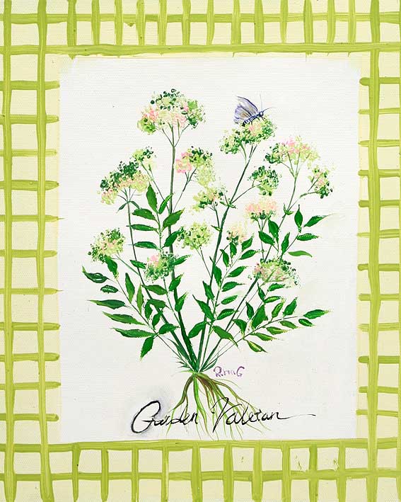Heath Flowers