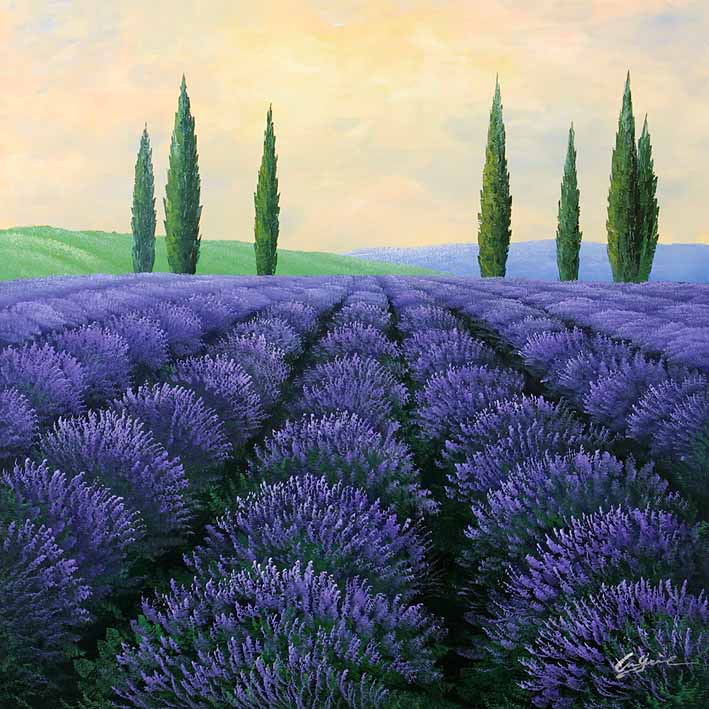 Lavender Land, II