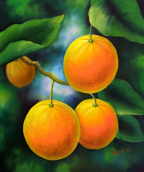 Oranges on the Tree
