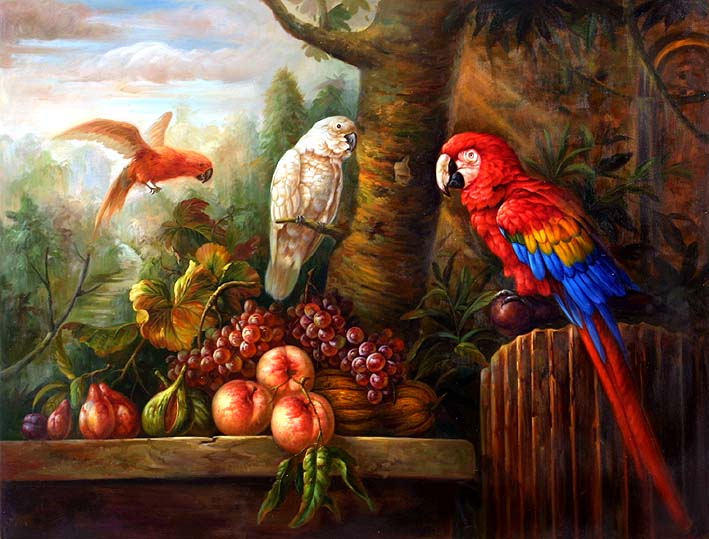Pampered Parrots