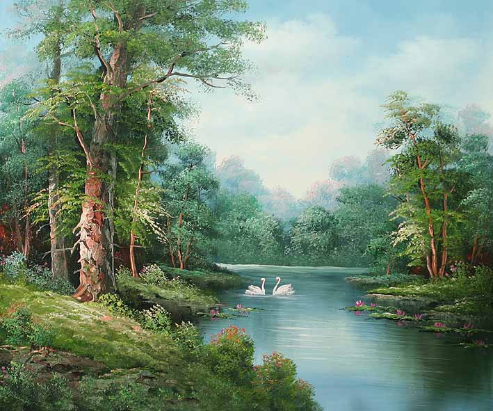 Swans in Forest Stream