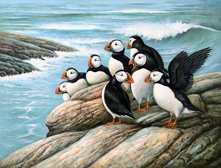 The Puffin Colony