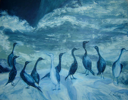 Cormorants