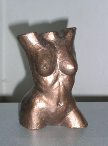 Torso