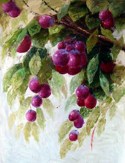 Grapes
