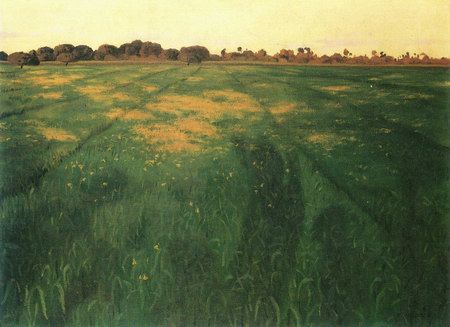 Green oats field