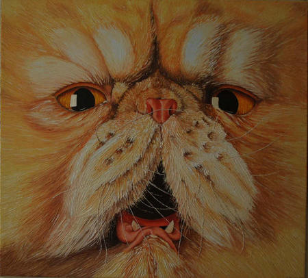 Persian cat