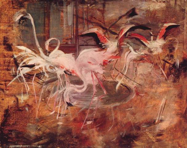 Flamingos