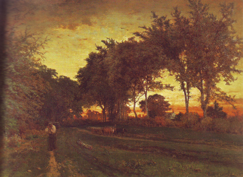 Evening Landscape