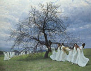 A Song of Spring