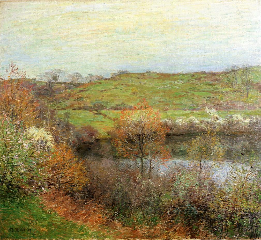 Buds and Blossoms 1907