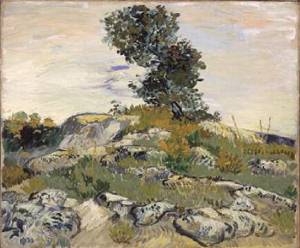 The Rocks 1888