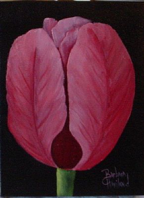 Pastel paintings for sale - pastel paintings art gallery