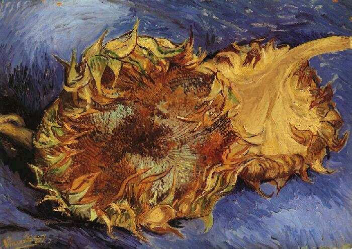 Two Cut Sunflowers painting, a Vincent Van Gogh paintings reproduction, we never sell Two Cut