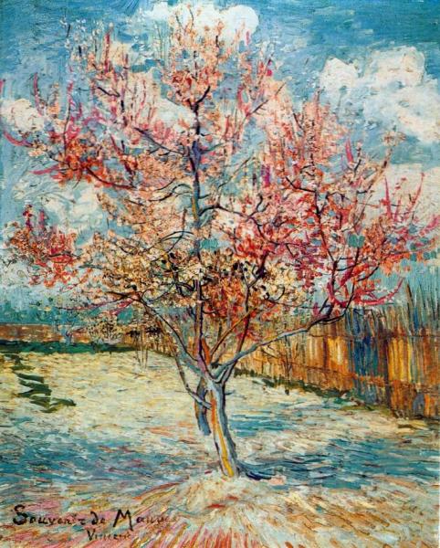 Peach Tree in Blossom painting