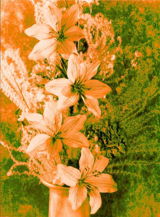 Bonaparte Napoleon Schilderijen, a Schilderijen Reproductie, we never sell Bonaparte Napoleon poster