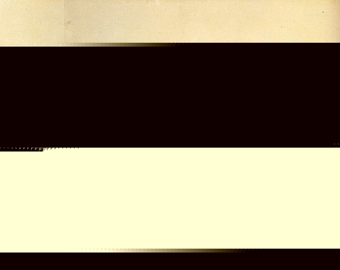 Oil Painting Reproduction of Renoir- Terrace in Cagnes