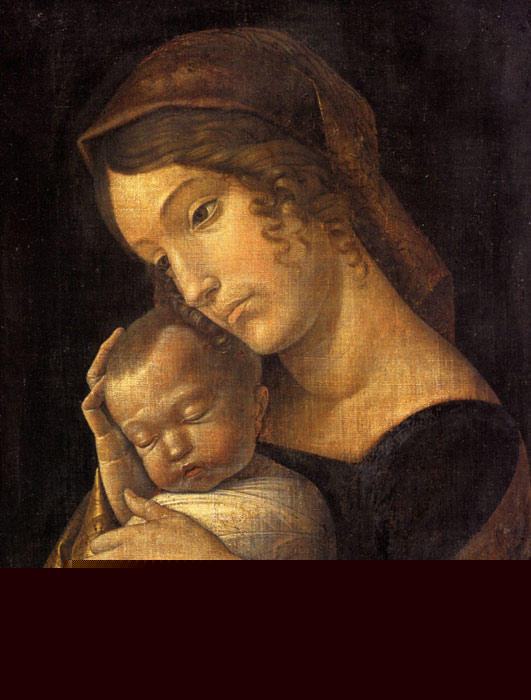 Ingres Oil Painting Reproductions- Madame de Senonnes