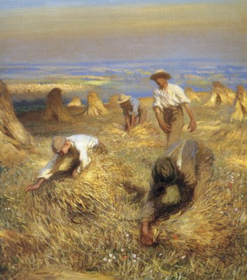 Harvesting the sheaves