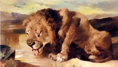 Lion Drinking At A Stream