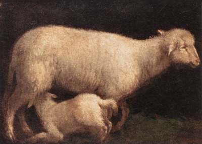 Sheep And Lamb