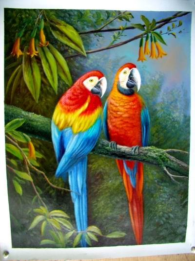 Oil painting for sale:birds-004,Animal oil paintings,animal painting ,wholesale