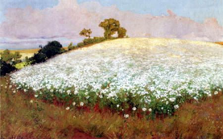 Buckwheatfield